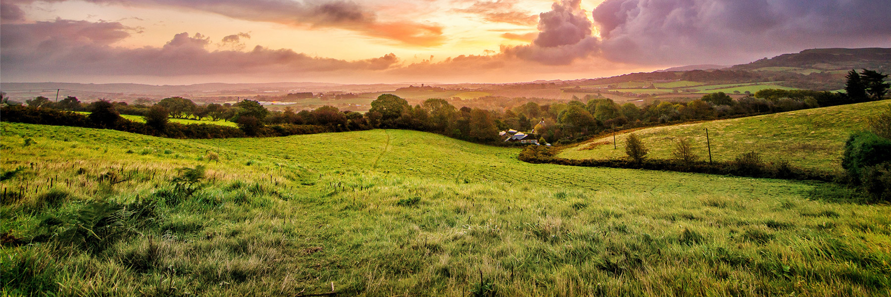 country sunrise grassy field